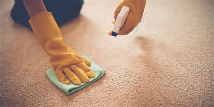 Can carpet stains be removed