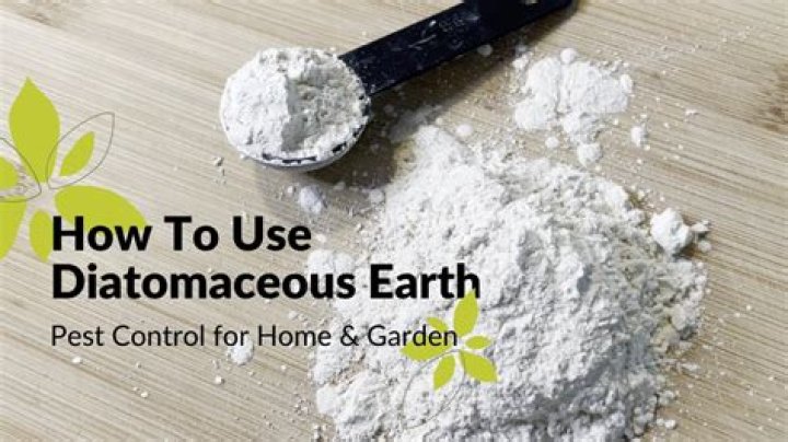 Can you put diatomaceous earth on your bed for fleas
