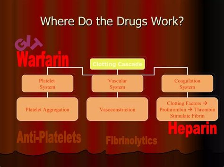 Does warfarin work on mice