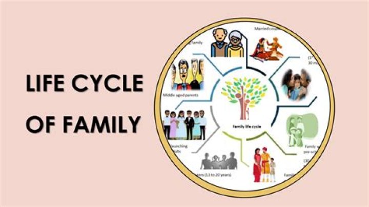 Family life cycle - How To Discuss