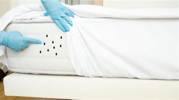 Haugesund mattress - How To Discuss