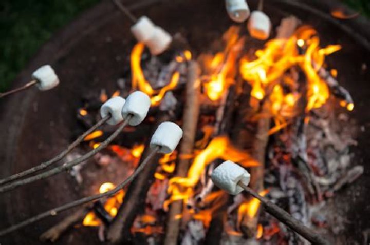 How do you roast marshmallows on a campfire