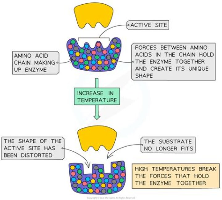 How does pH affect peroxidase activity