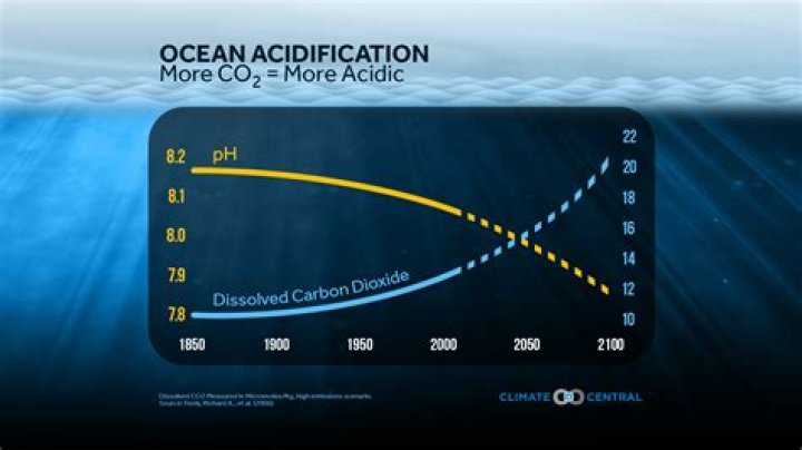 How much has the ocean acidified