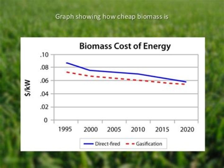 Is biomass energy expensive