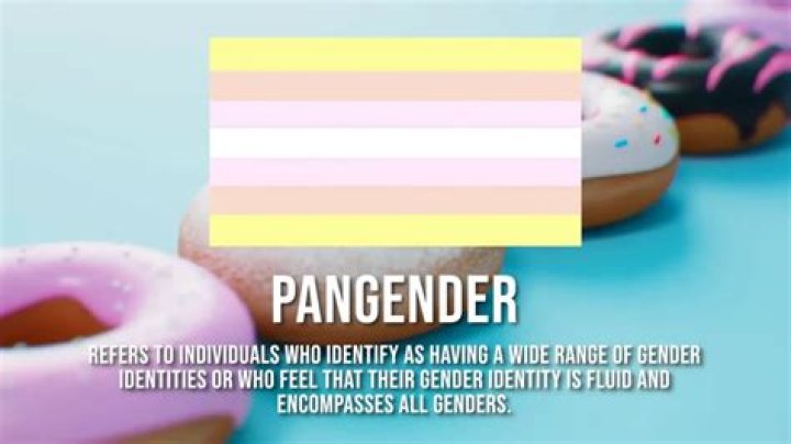 Pangender definition - How To Discuss