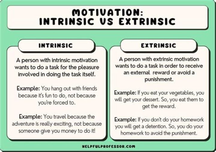 What are intrinsic and extrinsic motivations