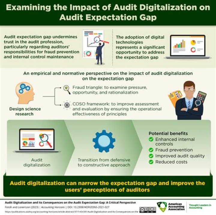 What causes audit expectation gap