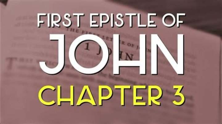 What does first John chapter 1 mean