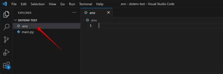 What is an ENV file format