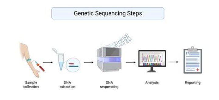 What is gene synthesis service