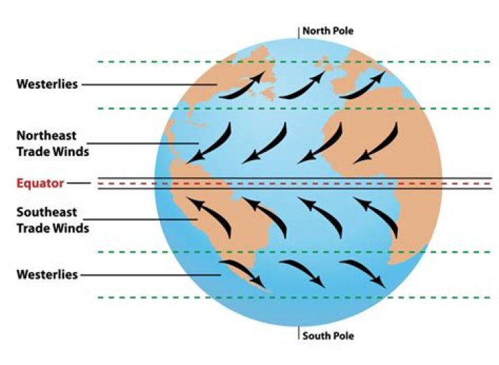 What is northeast trade winds