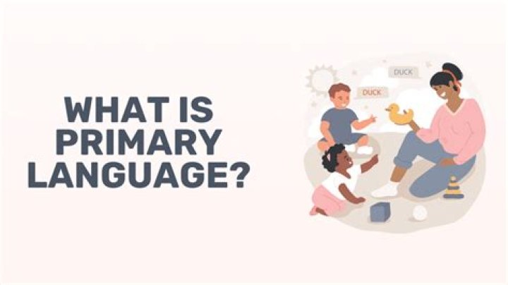 What is primary language impairment