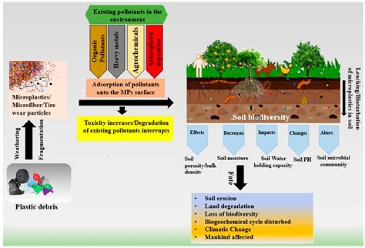 What is remediation of contaminated soil