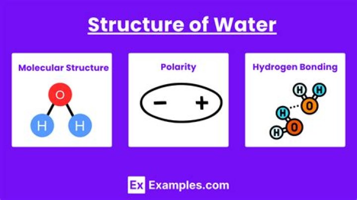 What is special about the structure of water