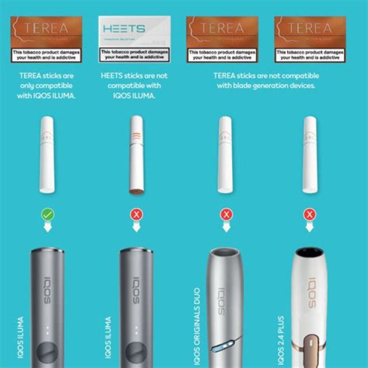 What is the difference between Maria and Terrea