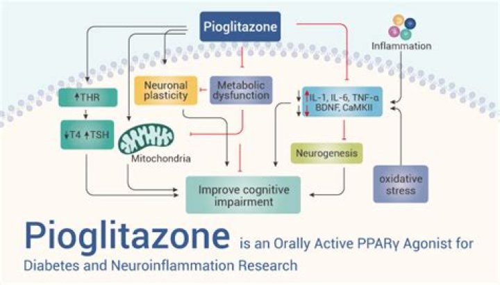 What is the purpose of pioglitazone
