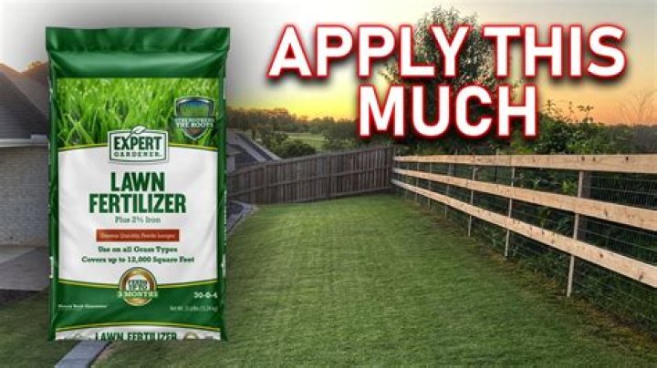When should I fertilize my lawn in Central Texas