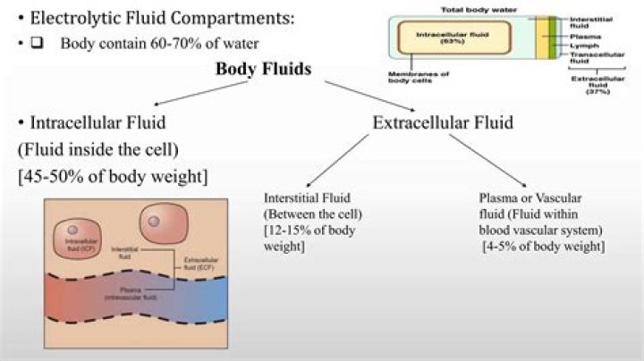 Which electrolyte has the highest concentration in the intracellular fluid