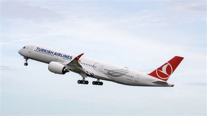 Who is the girl in the Turkish Airlines advert