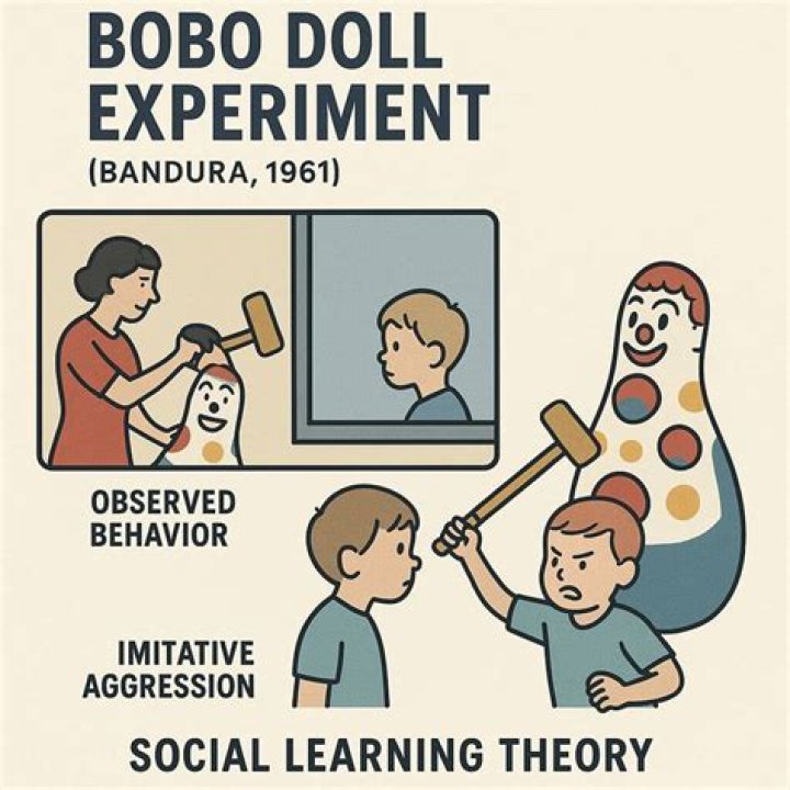 Who was involved in the Bobo doll experiment